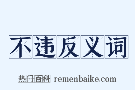 不违反义词是什么意思的图片